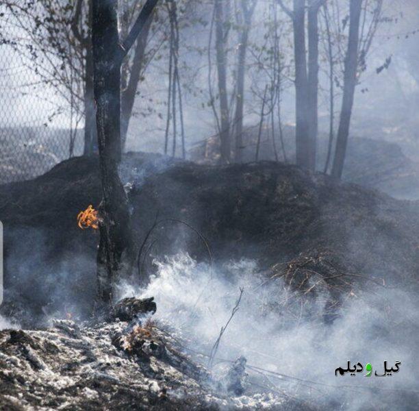 مدیرکل منابع طبیعی گیلان: از روشن کردن آتش در عرصه های طبیعی خودداری شود