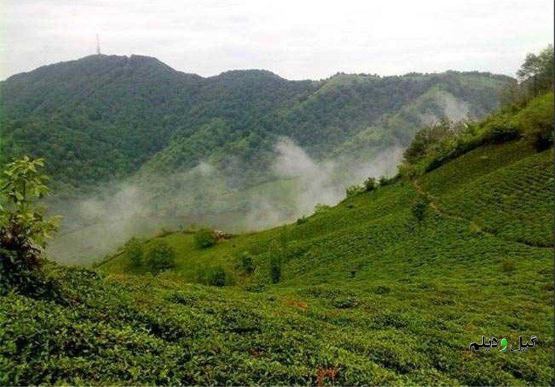 «گردشگری» محور توسعه گیلان؛ مجوز سرمایه‌گذاری در کمترین زمان صادر می‌شود