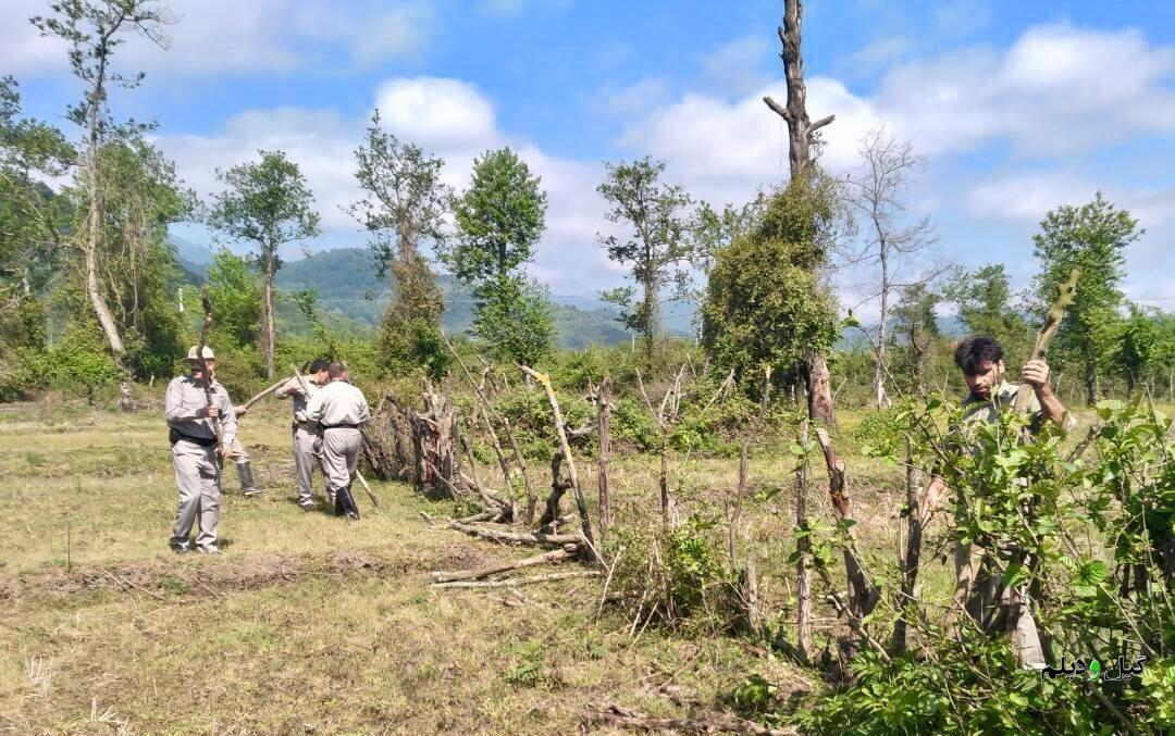 رفع تصرف حدود ۱۴ هکتار از اراضی ملی گیلان