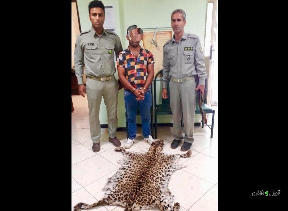 با تلاش یگان حفاظت؛ شکارچی پلنگ در سیاهکل شکار شد