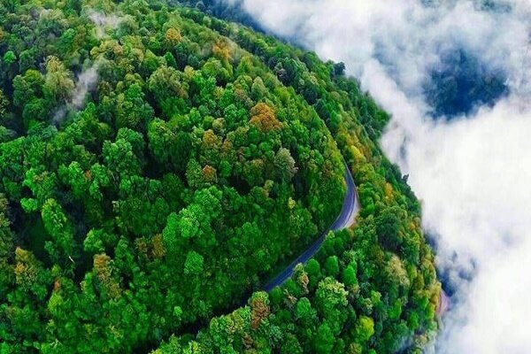 مدیرکل منابع طبیعی گیلان خبر داد: جلوگیری از حریق و قاچاق با مونیتورینگ جنگل های گیلان