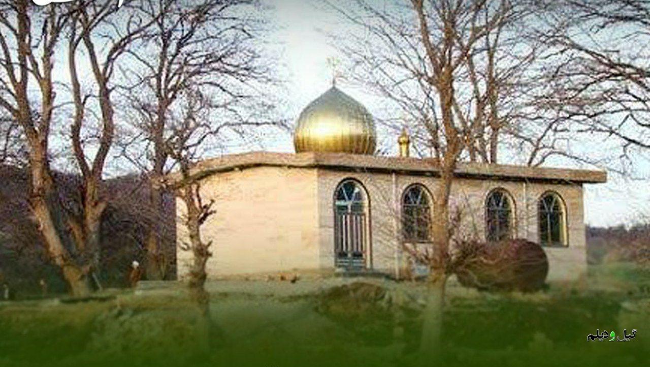 ادامه واکنشها به واگذاری ۵۶۰۰ هکتار از جنگل هیرکانی به متولی یک امامزاده