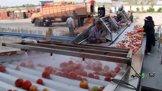 مدیرعامل بنیاد برکت خبر داد: سرمایهگذاری هزار میلیارد تومانی ستاد اجرایی فرمان امام در گیلان