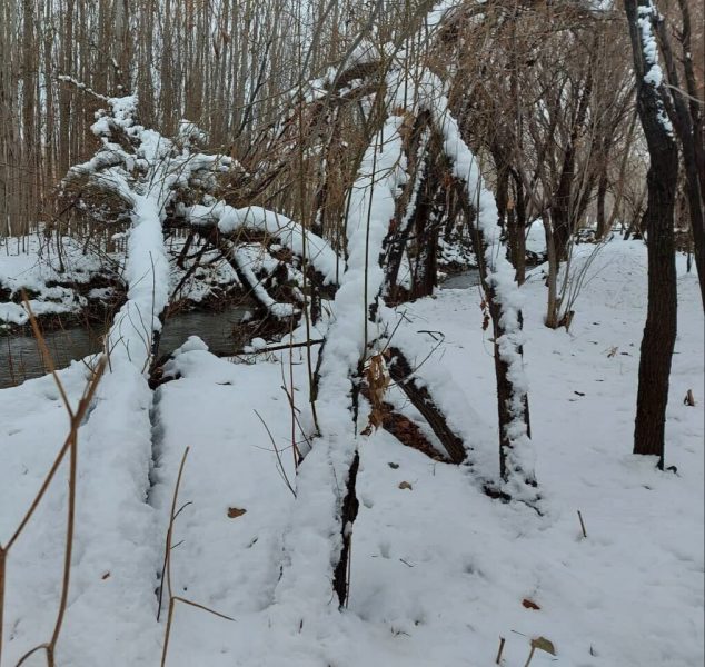 دستگاهها برای مقابله با مشکلات احتمالی ناشی از بارش ها آماده باشند