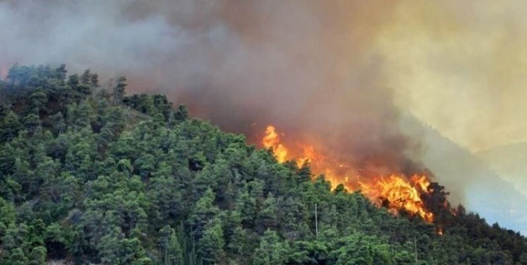 سرپرست منابع طبیعی گیلان خبر داد: مهار حریق ۴.۵ هکتار از جنگل های سیاهرود