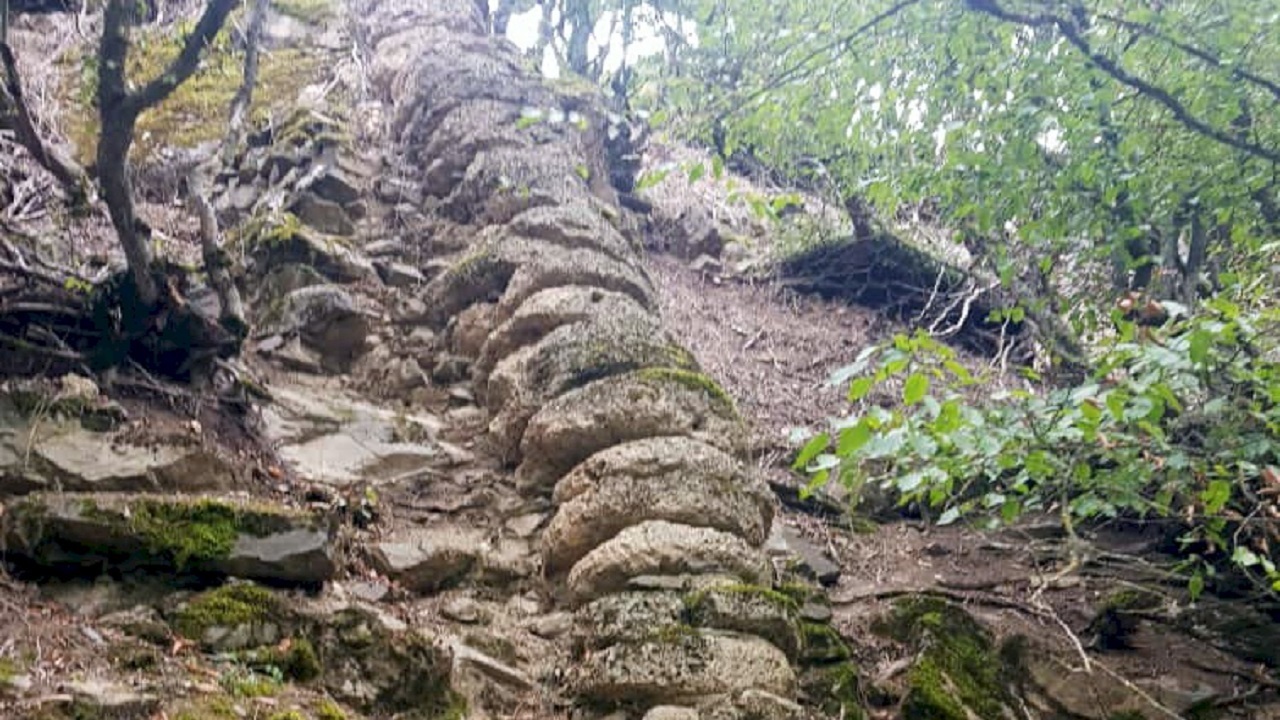 شناسایی آثار فرهنگی تاریخی از عصر آهن در روستای دارستان