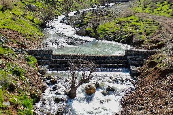 معاون آبخیزداری منابع طبیعی گیلان: نخستین پارک آبخیز گیلان احداث می شود/ به تاخیر انداختن فرونشست با آبخیزداری