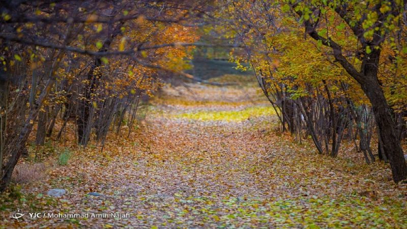 خروج تدریجی سامانه هوای بارشی از آسمان گیلان