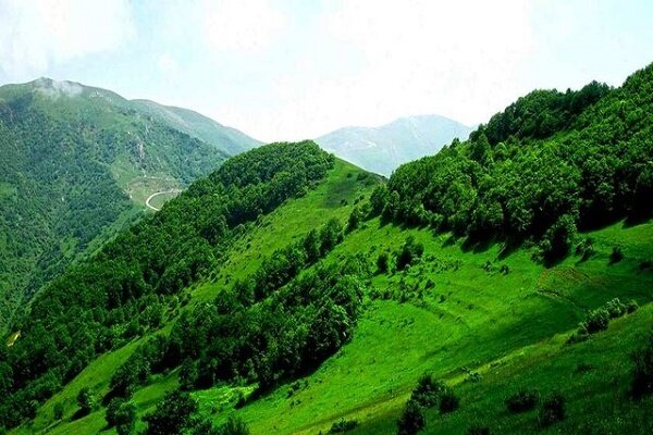 رئیس اداره آموزش و ترویج منابع طبیعی گیلان خبر داد: احیای ۹۱ هکتاری جنگل تخریب شده لیشک سیاهکل