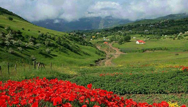 افزایش تدریجی دمای هوا در گیلان