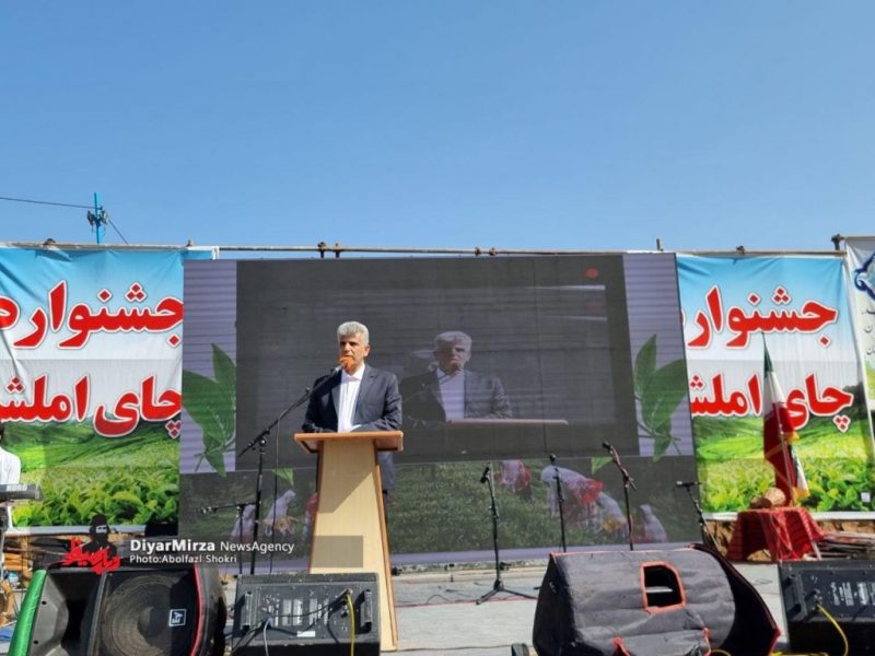 در جشنواره چای املش عنوان شد؛ از نقش منظره زیبای باغات چای در جذب گردشگر تا فعالیت ۴۷۰ هنرمند صنایع دستی در املش