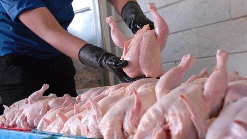 ذخیره سازی بیش از ۲ هزار تن مرغ مازاد بر نیاز بازار گیلان