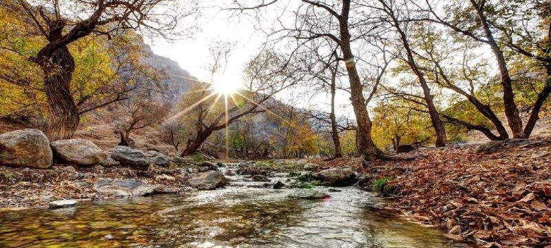 افزایش دمای هوا در گیلان