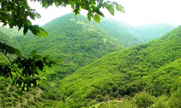 میراث فرهنگی گیلان خبر داد؛ آغاز ساخت و نصب پلاک ثبتی و تابلو راهنمای جنگل‌های هیرکانی در گیلان