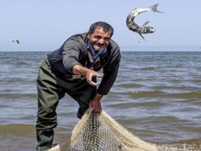 صید ۶۱۰ تُن انواع ماهیان استخوانی در سواحل گیلان