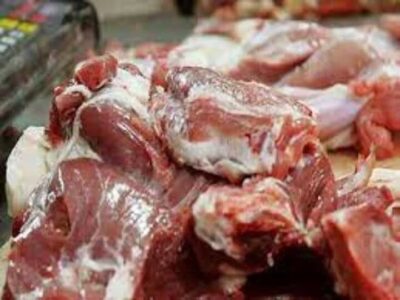 عرضه گوشت فاسد در فومن؛ متهمان بازداشت شدند