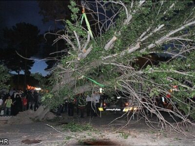 سقوط ۱۳ درخت در رشت؛ تندباد خسارت جانی نداشت