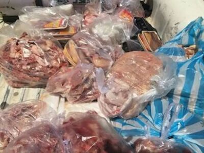 کشف ۲۰۰ کیلوگرم گوشت گراز در مرکز گیلان