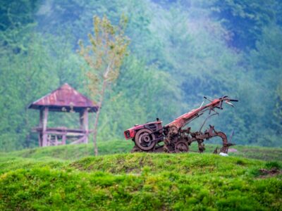 توصیه‌هایی به کشاورزان در پی افزایش محسوس دما در گیلان