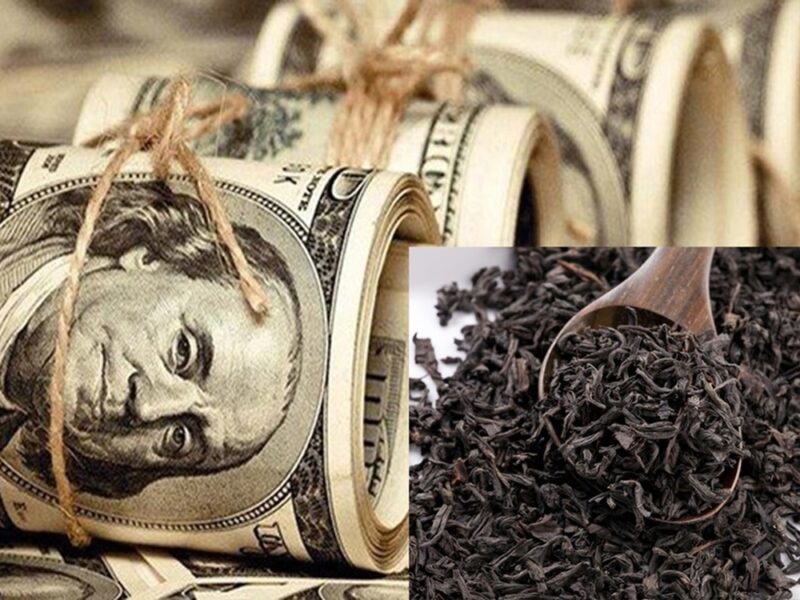 اختلاس ۳.۷ میلیارددلاری دولت سیزدهم، در دنیا منحصر به فرد بود