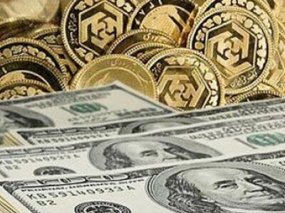 دلالان سکه و ارز با ایجاد ترس در جامعه، قیمت را بالا می برند