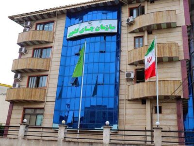 شاید زمان تغییر در سازمان چای کشور فرارسیده است!