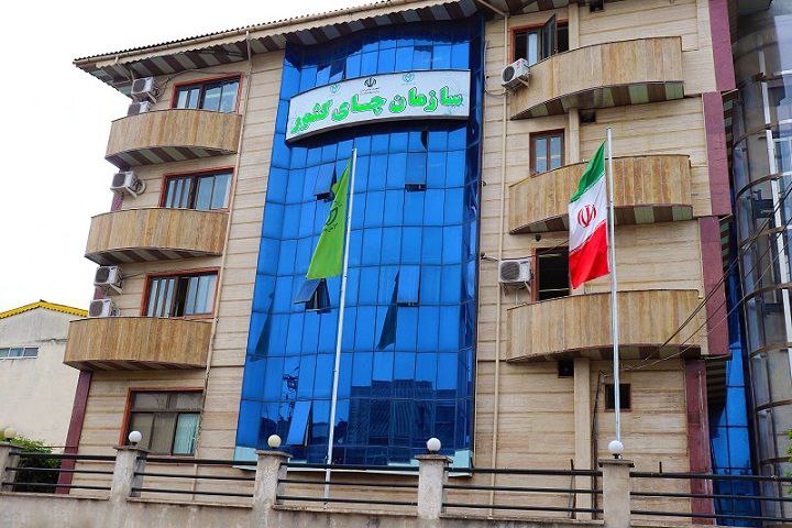 شاید زمان تغییر در سازمان چای کشور فرارسیده است!