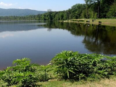 اجرای عملیات لایروبی ۵۰۰ هکتار از آب بندانهای گیلان در سال جاری