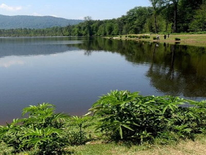 اجرای عملیات لایروبی ۵۰۰ هکتار از آب بندان‌های گیلان در سال جاری