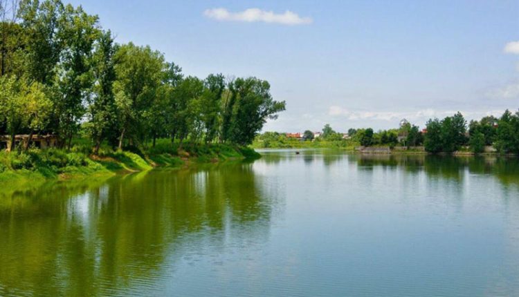 احیای تالاب عینک و رودخانههای رشت؛ توسعهای که پیش از سرمایهگذاری، نیازمند زیرساخت و تفکر است