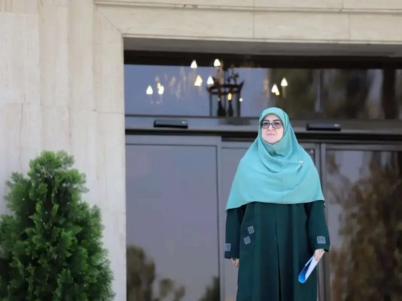 خانم سخنگو! شما استندآپ کمدین نیستید