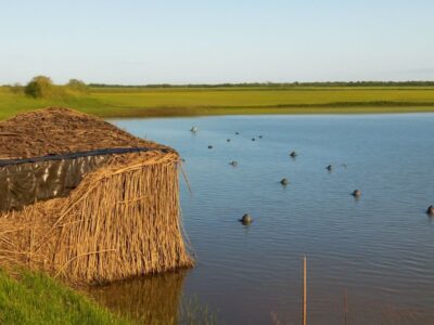 کومه نماهای شکارغیرمجاز در گیلان جمعآوری شد