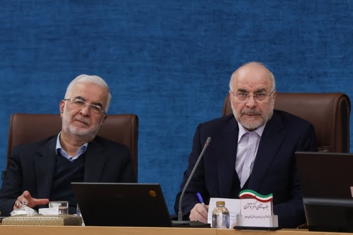 مخالف دخالت نمایندگان در انتصابات هستم | ضرورت دور شدن شوراها از موضوعات سیاسی