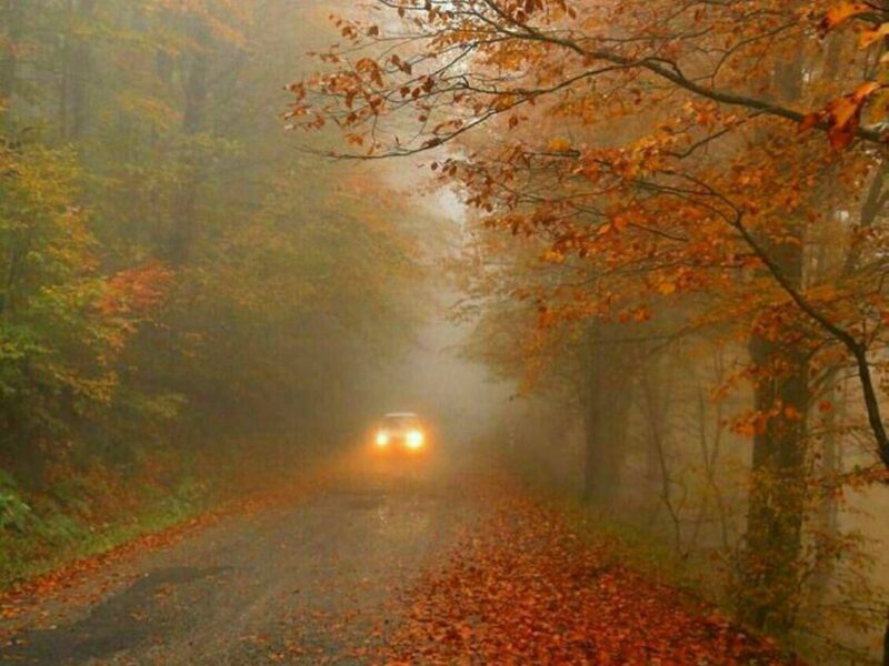 آسمان گیلان نیمه ابری و مه آلود است