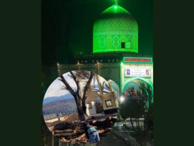 بیانیه شورای اسلامی و دهیاری امامزاده هاشم درباره قطع درختان