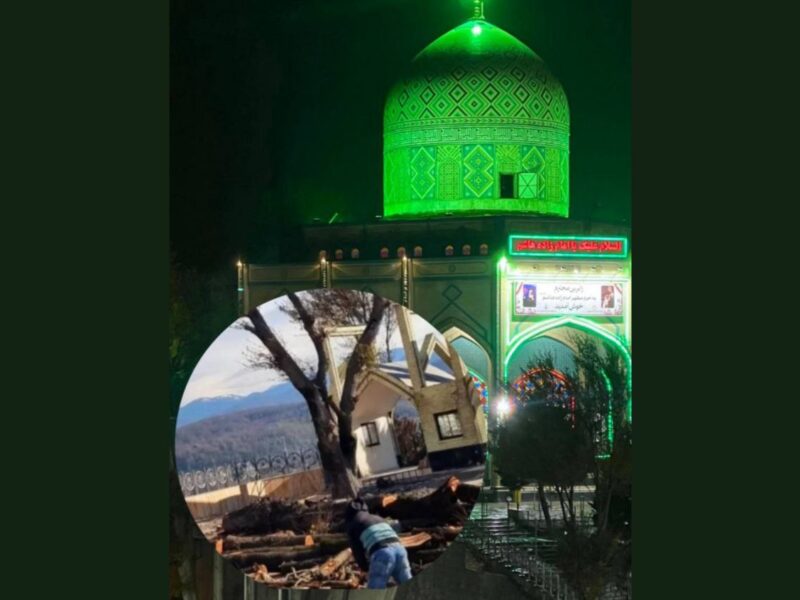 بیانیه شورای اسلامی و دهیاری امامزاده هاشم درباره قطع درختان