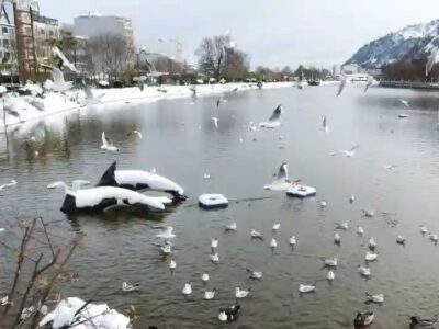 فردا گیلان یخبندان می‌شود
