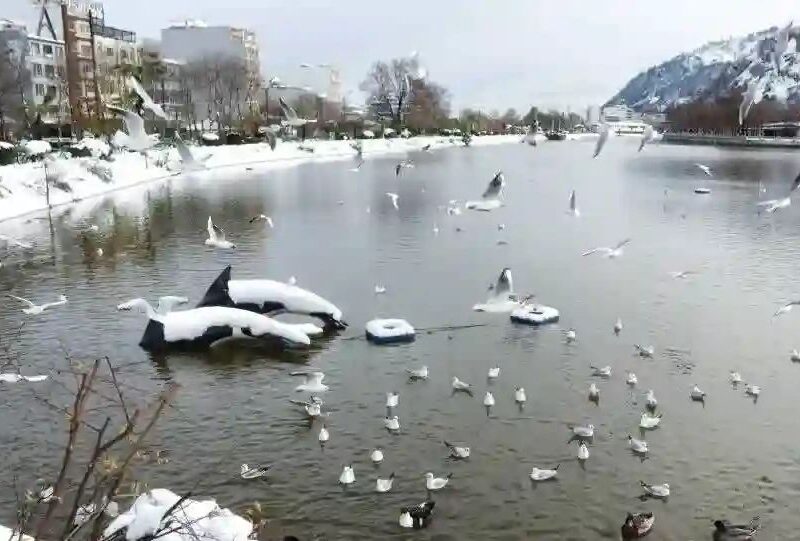فردا گیلان یخبندان می‌شود