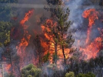 عرصه های جنگلی سیاهکل و رودبار همچنان می سوزد