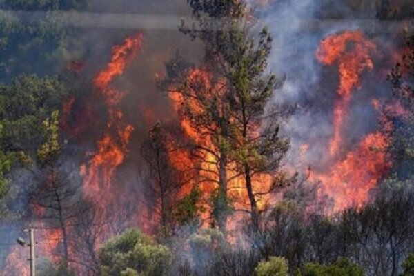 عرصه های جنگلی سیاهکل و رودبار همچنان می سوزد