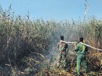 عامل آتش‌سوزی تالاب انزلی دستگیر شد