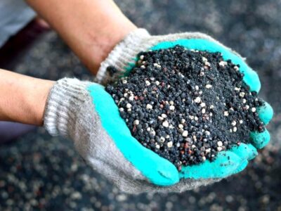 توزیع ۶ هزار تن کود شیمیایی بین چایکاران شمال کشور