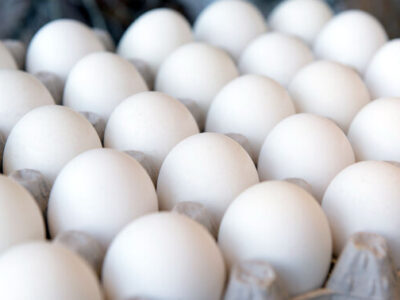 کشف حدود ۳۰ هزار تخم‌مرغ فاقد مجوز در سیاهکل