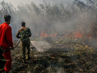 ۶هکتار از تالاب انزلی طعمه آتش شد