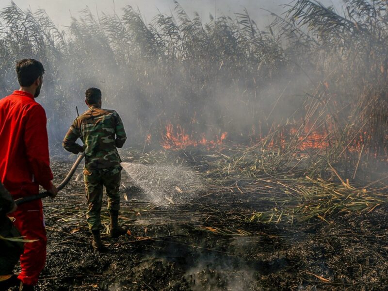 ۶هکتار از تالاب انزلی طعمه آتش شد