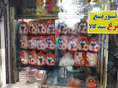تشکیل پرونده اخلال در نظام اقتصادی برای زنجیره‌های تولید مرغ در گیلان