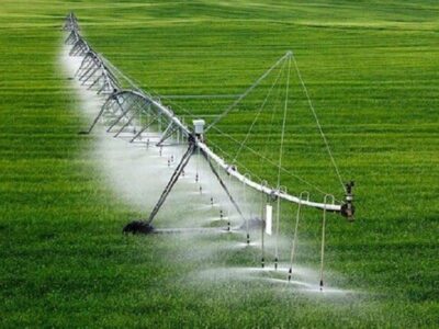 تجهیز ۲۹ هزار هکتار از شالیزارهای گیلان به سامانه های نوین آبیاری