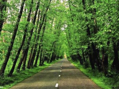 نقشه راه جهانی‌شدن «گیسوم» گیلان تدوین شد