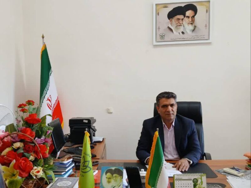 خرید تضمینی ۸ هزار و ۶۲۸ تن برگ سبز چای در لاهیجان/ فعالیت ۳۵ کارخانه چایسازی در شهرستان لاهیجان
